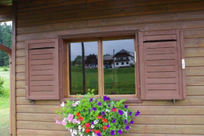 Ferienhaus Forellenwirt, Rappottenstein, Österreich